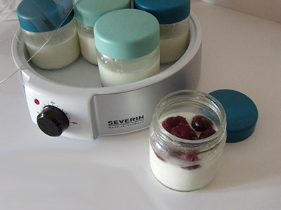 yaourts Severin 3525